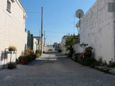 Imbocchiamo via Carlo Vitale. Un muro in pietra ci accompagna lungo il tragitto di questa stradina molto stretta che, dopo una curva, diventa via Cipparoli. Da una parte e dall�altra, troviamo delle piccole casette bianche i cui muri avrebbero bisogno di un serio restauro
